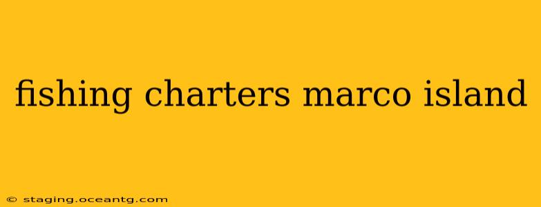 fishing charters marco island