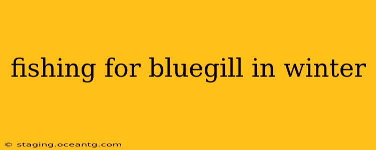 fishing for bluegill in winter