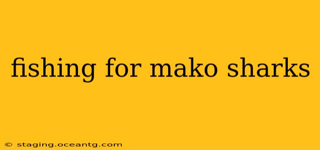 fishing for mako sharks