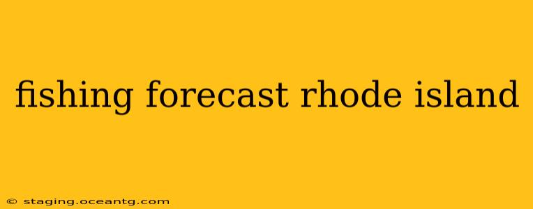 fishing forecast rhode island