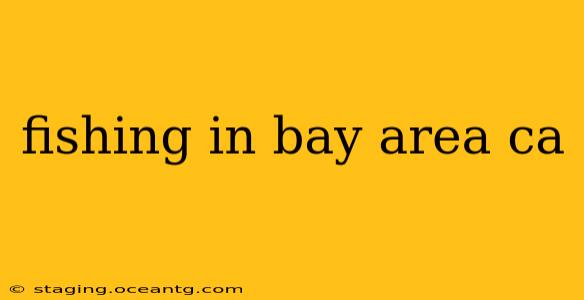 fishing in bay area ca