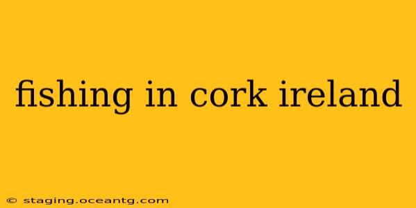 fishing in cork ireland