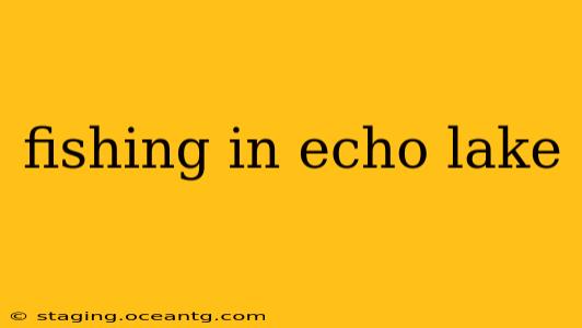 fishing in echo lake