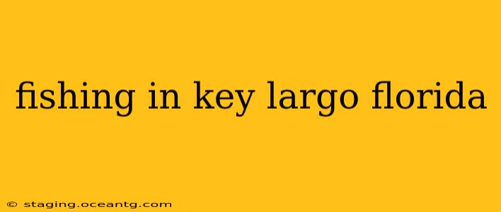 fishing in key largo florida