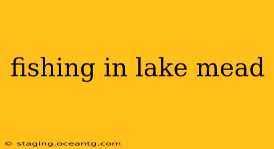 fishing in lake mead