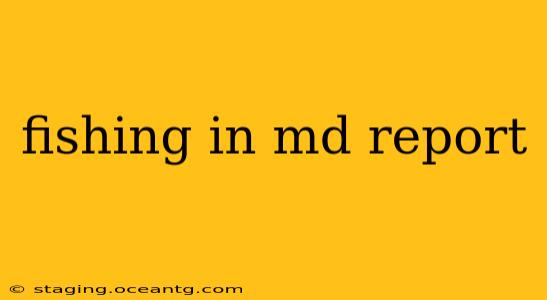 fishing in md report