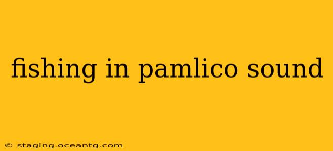 fishing in pamlico sound