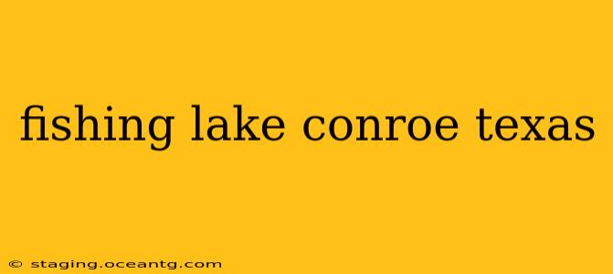 fishing lake conroe texas