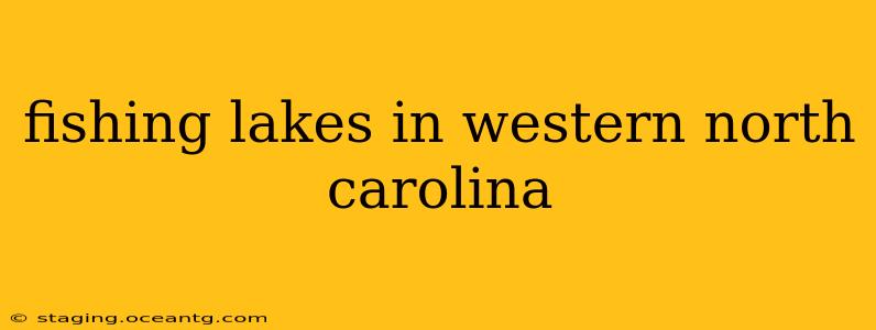 fishing lakes in western north carolina