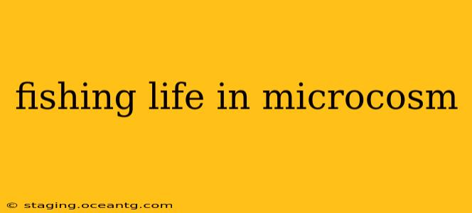 fishing life in microcosm