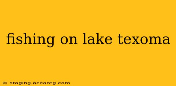 fishing on lake texoma