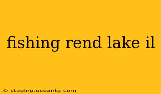 fishing rend lake il