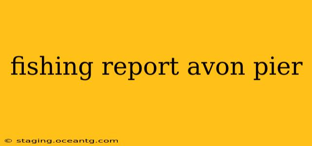 fishing report avon pier