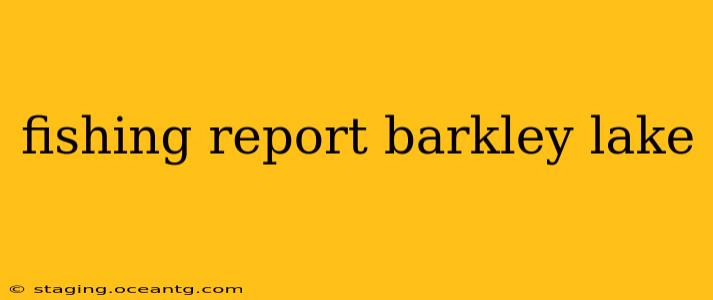 fishing report barkley lake