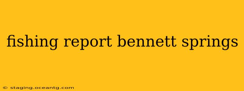 fishing report bennett springs