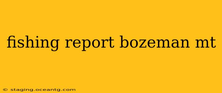 fishing report bozeman mt