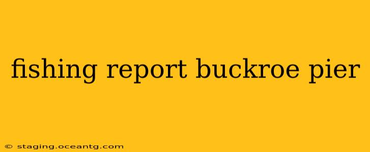 fishing report buckroe pier