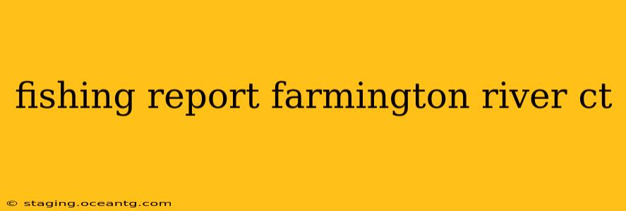 fishing report farmington river ct