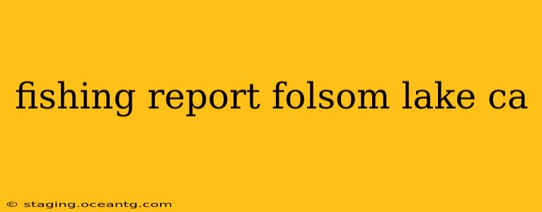 fishing report folsom lake ca