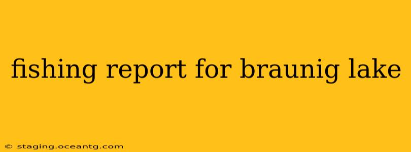 fishing report for braunig lake