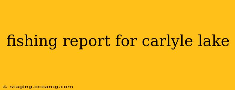 fishing report for carlyle lake