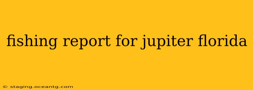 fishing report for jupiter florida