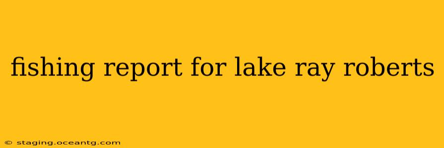 fishing report for lake ray roberts