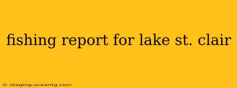 fishing report for lake st. clair