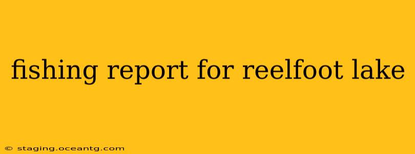fishing report for reelfoot lake