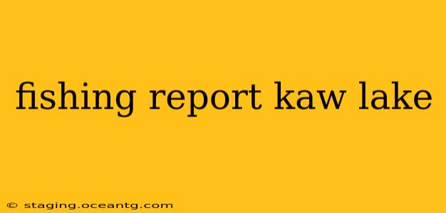 fishing report kaw lake