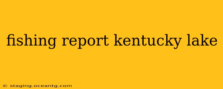 fishing report kentucky lake