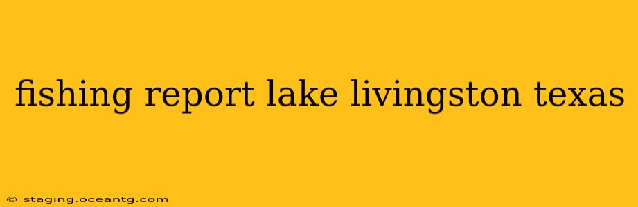 fishing report lake livingston texas