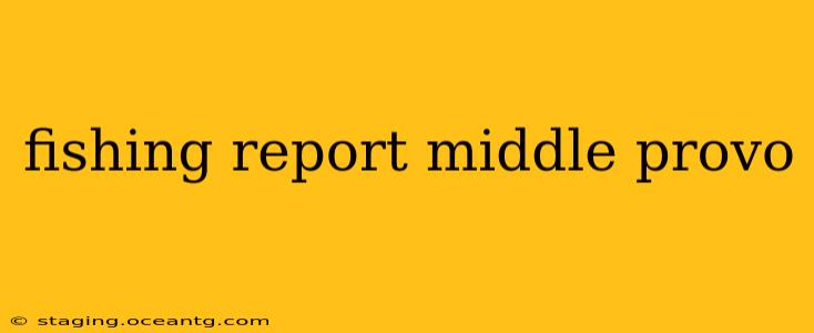 fishing report middle provo
