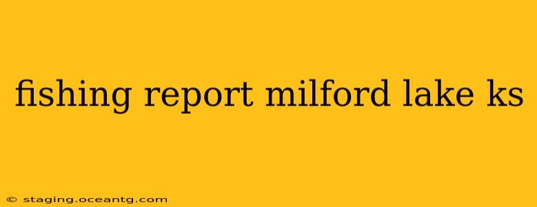 fishing report milford lake ks