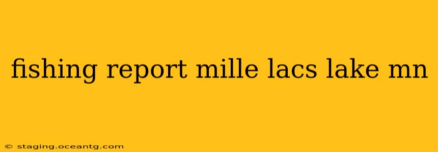 fishing report mille lacs lake mn