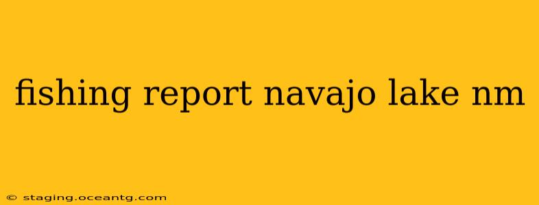 fishing report navajo lake nm