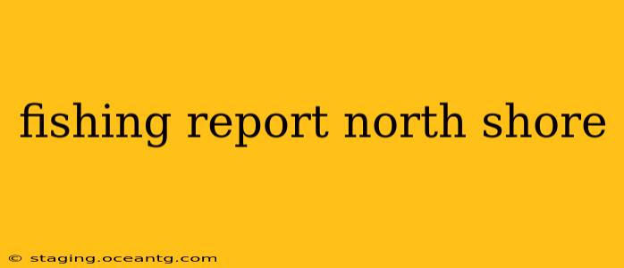 fishing report north shore