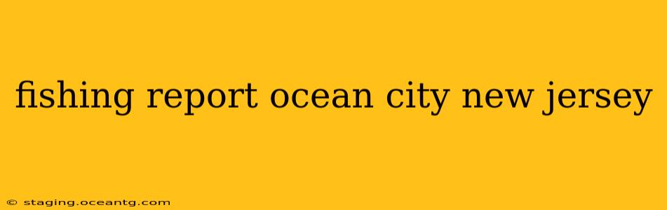 fishing report ocean city new jersey