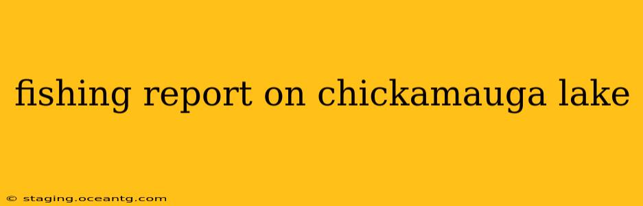 fishing report on chickamauga lake