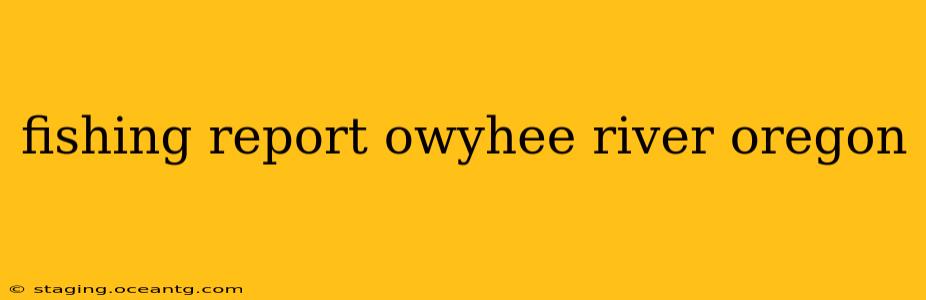 fishing report owyhee river oregon