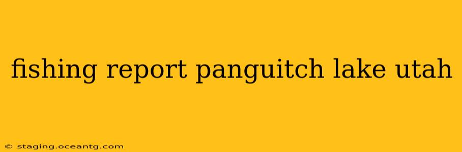 fishing report panguitch lake utah