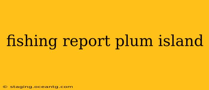 fishing report plum island