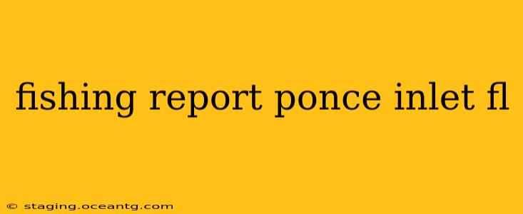 fishing report ponce inlet fl