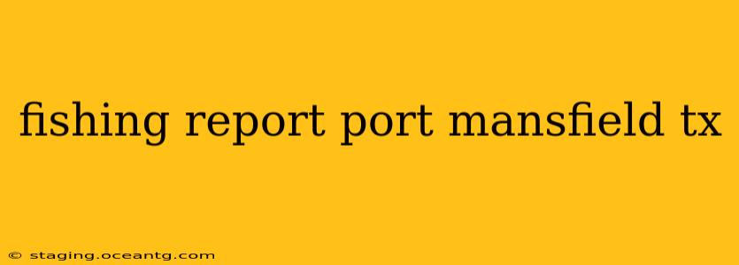 fishing report port mansfield tx