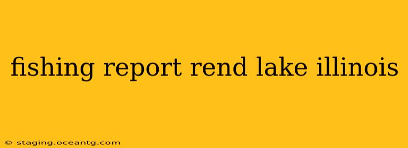 fishing report rend lake illinois