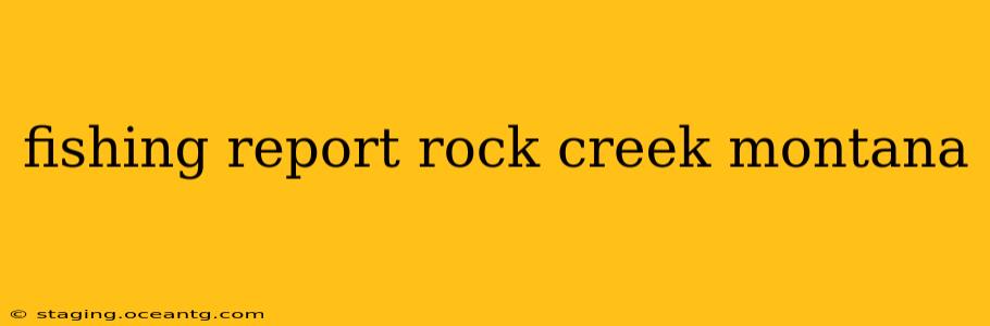 fishing report rock creek montana
