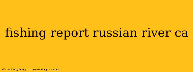 fishing report russian river ca