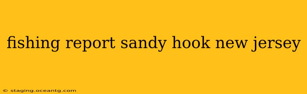 fishing report sandy hook new jersey