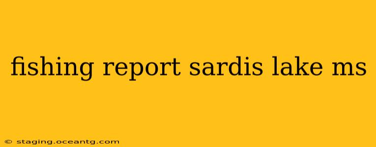 fishing report sardis lake ms