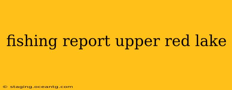 fishing report upper red lake